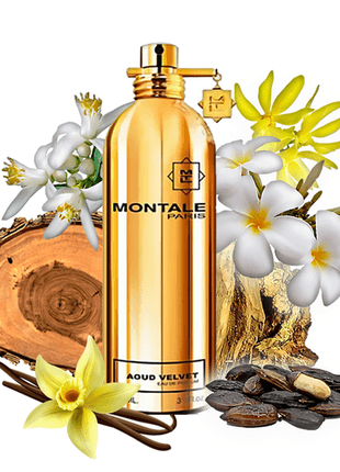 MONTALE AOUD VELVET EDP - EmporiaProfumi